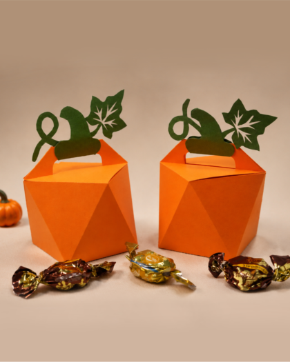 IG_Box-pumpkin-2